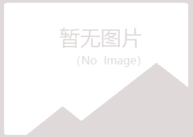 偃师心痛能源有限公司